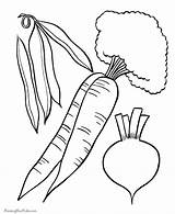 Vegetables Coloring Pages Food Printable Kids Vegetable Fruits Print Fruit Color Clipart Colouring Templates Veggies Template Sheets Animal Book Clip sketch template
