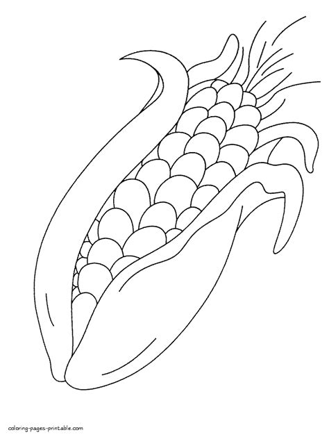 corn coloring pages    print