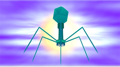 bacteriophage virus biology free image on pixabay