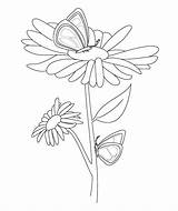 Coloring Pages Printable Floral Botanical Print sketch template