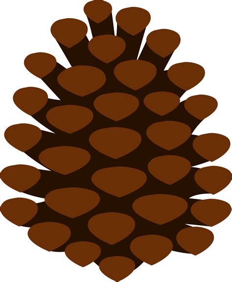 pine cone clipart clipartsco