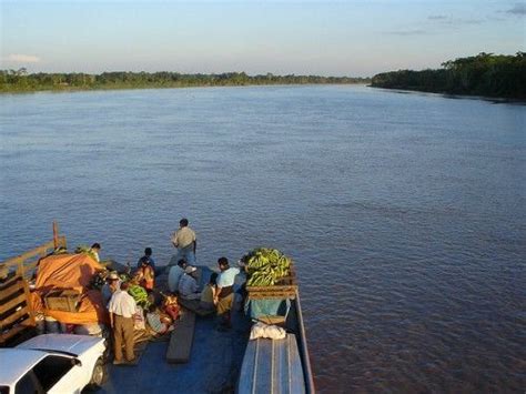 de amazone zuid amerika trivia amazon river roatan latin america central america america
