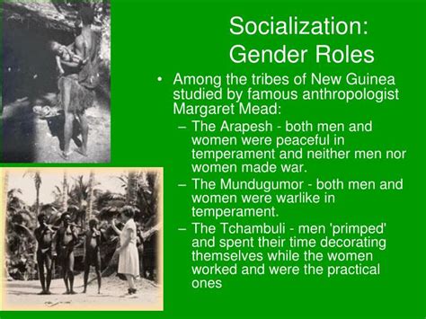 Ppt Sociology Powerpoint Presentation Id 1903968