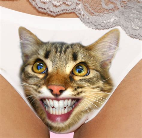 purring pussy cat panties sweet one pussycat panties cat underwear