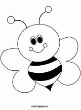 Bee Coloring Bumble Simple Blank sketch template