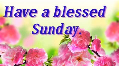 happy sunday images quotes   love images wallpaper