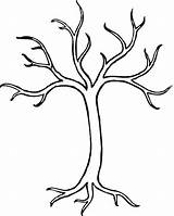 Tree Coloring Drawing Branch Coloringkidz sketch template