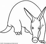 Aardvark Coloring Animal Print Pages Colouring Printable Color Animals Book Choose Board sketch template