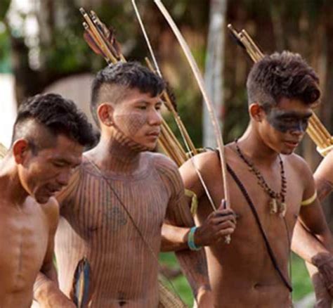 indigenous groups amazon s best land stewards under federal attack