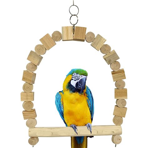macaw swing natural parrot dipankar