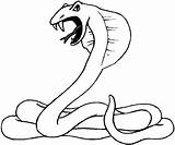 Coloring Pages Cobra King Snake sketch template