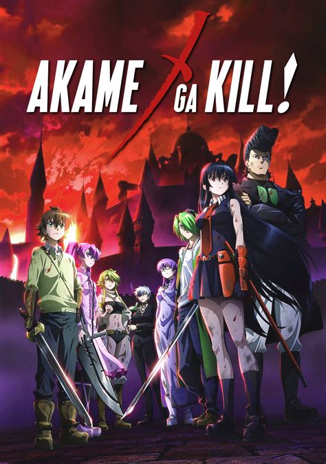 What Is The Story Behind The Anime Series Akame Ga Kill