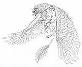 Griffin Mythical Creatures sketch template