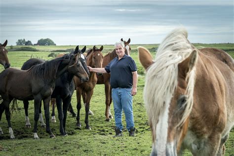 tranen bij opfokker geert jan om keuze boer zoekt vrouw horses