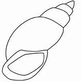 Shell Coloring Pages Printable Seashell Template Little Easy Top Online Drawing Clipart Shotgun Clipartbest Sheet Snail Ones Interesting sketch template