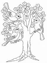 Coloring Spring Pages Coloriage Printemps Arbre Choose Board Adults Maternelle sketch template