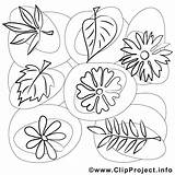 Blaetter Herbst Malvorlage Blumen Ausmalbilder Malvorlagen sketch template