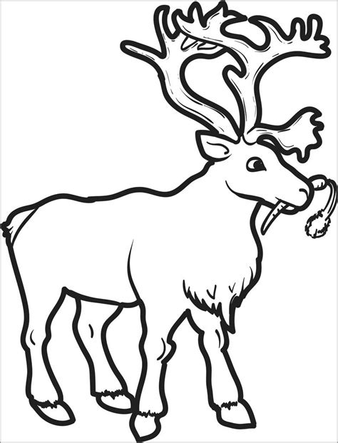 printable reindeer coloring page  kids coloringbay