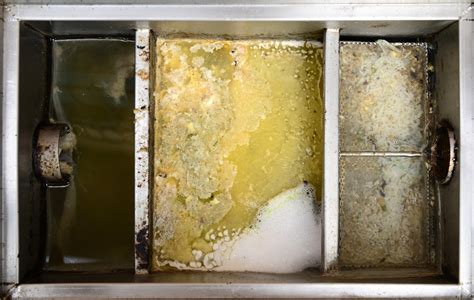 grease trap cleaning     clean  grease trap