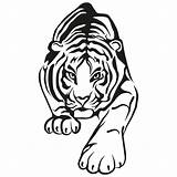 Tiger Paw Clipartmag Drawing sketch template