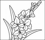 Gladiolus Coloring Flower Flowers Drawing Pages Clip Clipart Drawings Coloritbynumbers Gladioli Printables Embroidery Color Para Birth Numbers Flores Patterns Number sketch template