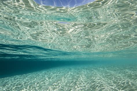 snorkelling  crystal clear water  tonga jones travel tours