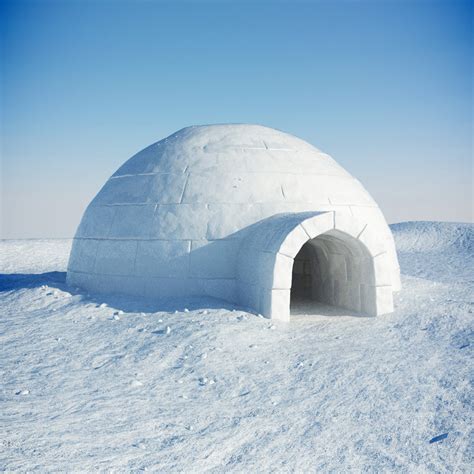 igloo snow  model