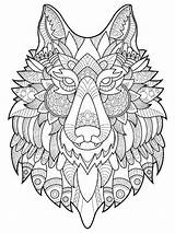 Coloring Pages Wolf Adults Adult Wolves Printable Color Mycoloring sketch template
