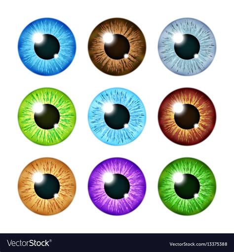 realistic multi colored eyeball iris pupils set human color eyeball