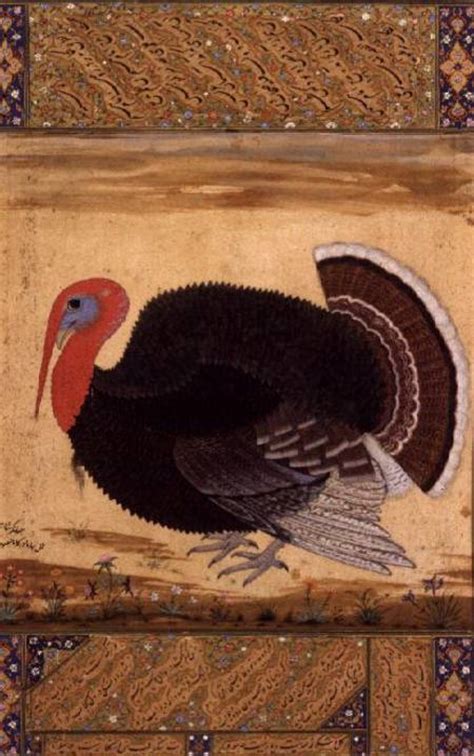 A Turkey Cock Brought To Jahangir From Mansur As Art Print Or Hand