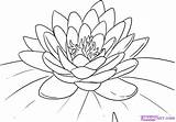 Coloring Flower Lotus Pages Popular sketch template