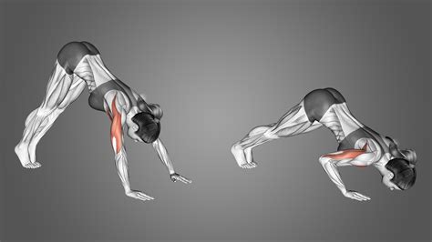 pike push ups benefits muscles worked   inspire
