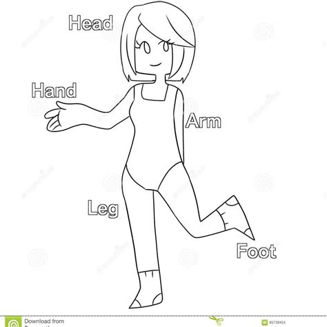human body coloring pages  kids images   finder