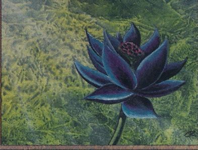 black lotus price  mtg limited edition alpha
