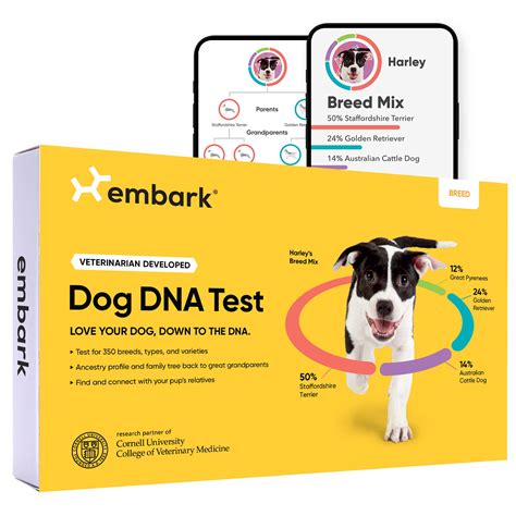 dna test  dogs
