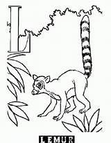 Lemur Coloring Pages Popular Printable sketch template