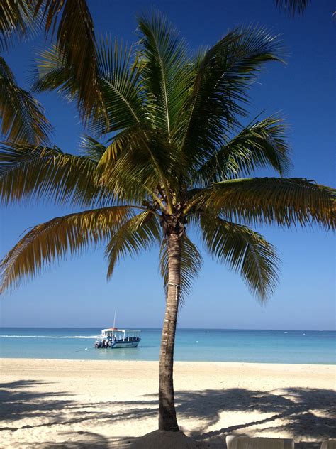beautiful jamaica perfect vacation
