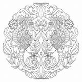 Coloring Pages Book Ocean Lost Johanna Petersen Choose Board Books Colouring Basford Mandalas Amazon Color Catherine sketch template