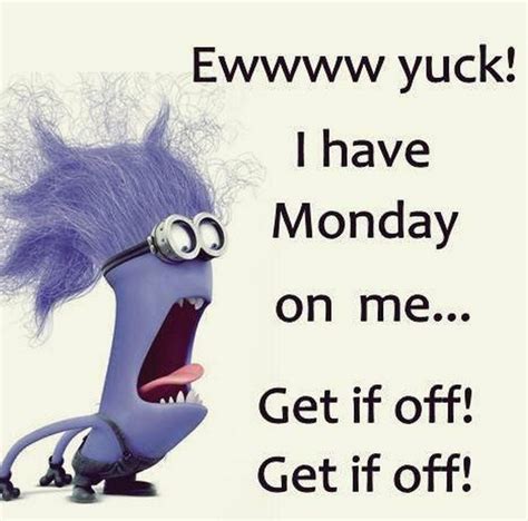 The 25 Best Monday Memes Ideas On Pinterest Funny Weekend Quotes