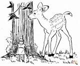 Reh Baum Ausmalbild Rehe Ausmalen Deer Ausdrucken Supercoloring Hirsche sketch template
