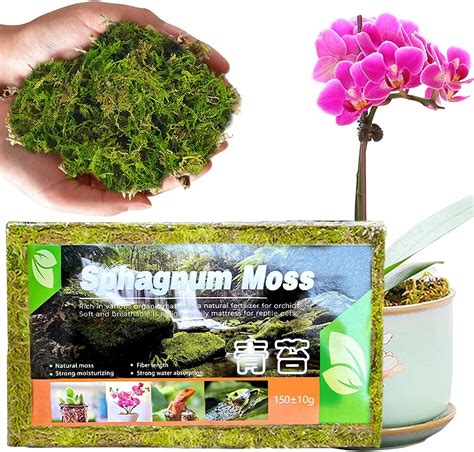 tlm toys sphagnum moss  plant  compressed sphagnum peat moss