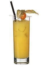 parrot drink    pernod  orange juice  served   highball glass