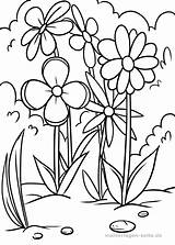 Blumenwiese Malvorlage Malvorlagen Pflanzen Wiese Meadow Wiesen Sommer sketch template