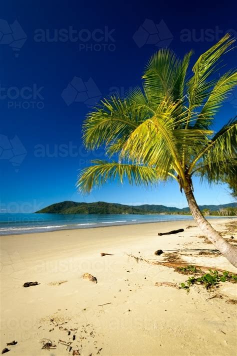 image of beautiful tranquil tropical beach scene with palm tree and dark blue sky austockphoto