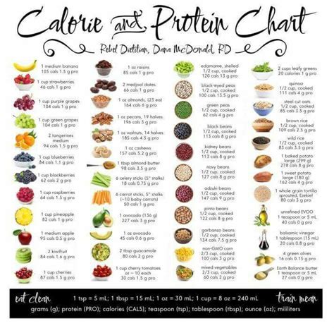 calorie  protein chart protein chart food charts