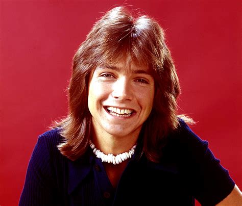 David Cassidy 1950 2017 In Concert 1973 Past Daily Soundbooth