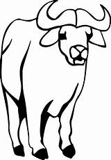 Buffalo Bison Herd Clipartmag sketch template