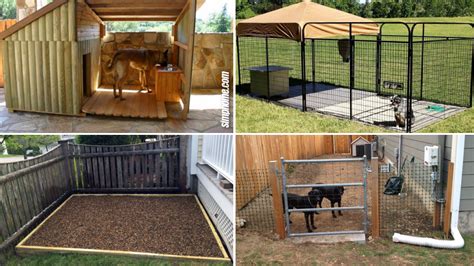 clever designs    build backyard dog kennel ideas simphome