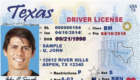 drivers license     state drivers license
