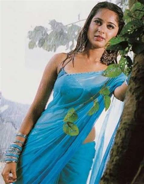 South Indian Actress Wet Saree Hot Navel Photos Actress Hot Sexy Photos